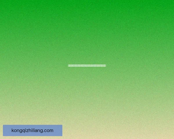 战场上的女武神与英雄之魂：血战沙场中的荣耀与命运交织